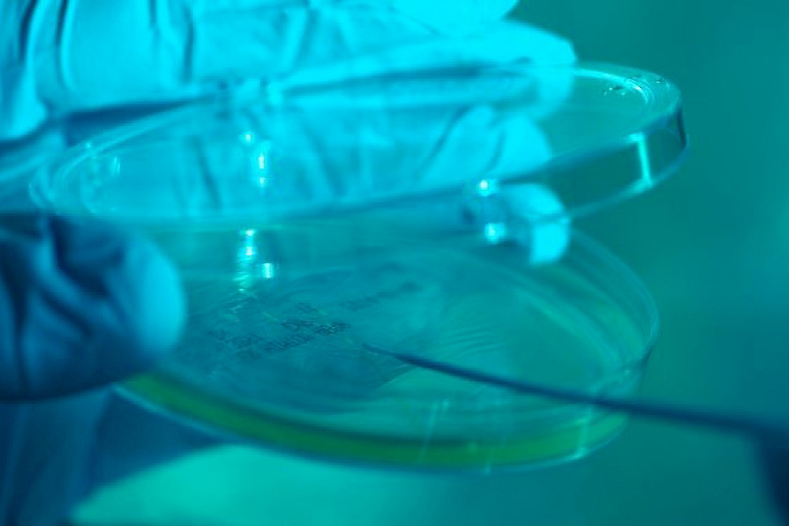 Nitric oxide biomedical lab